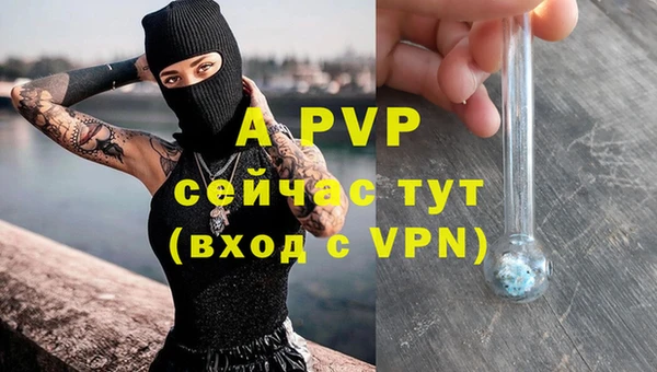 прущая мука Гусев
