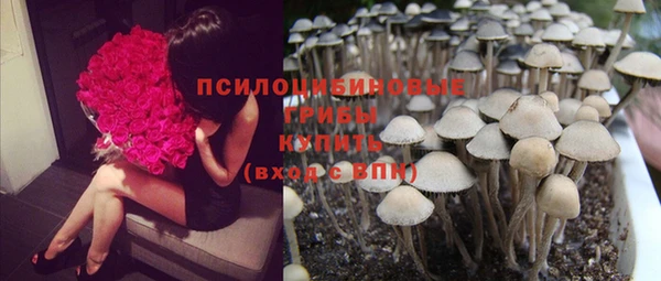альфа пвп Гусиноозёрск