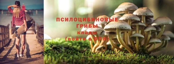 ALPHA-PVP Гусь-Хрустальный