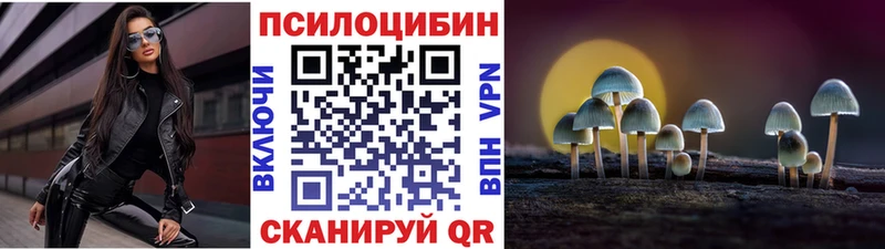 Псилоцибиновые грибы Magic Shrooms Чухлома