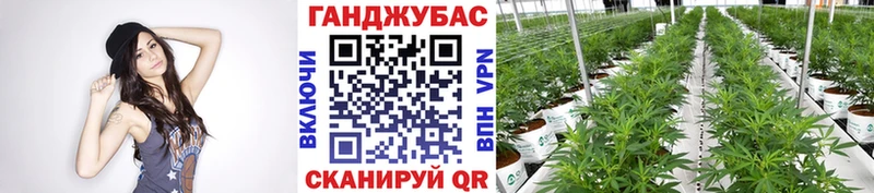 Бошки марихуана THC 21%  Чухлома 